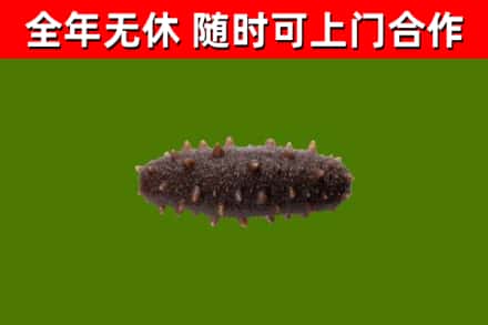长汀县烟酒回收干海参.jpg